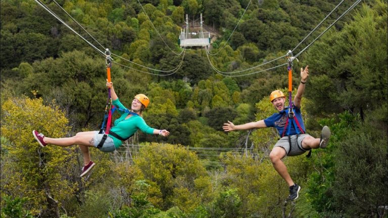 Read more about the article Regular: New Zealand The Best of Waiheke: Ziplining, Wine Tasting and Vineyard Lunch