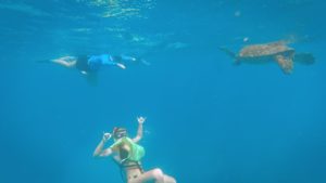 Read more about the article Regular – Turtle Canyon Snorkel Cruise by Catamaran in Oahu
