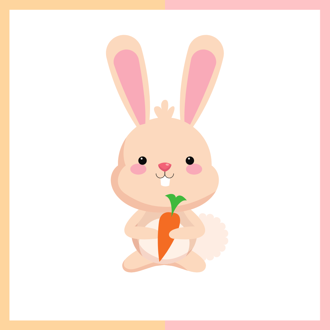 D: rabbit