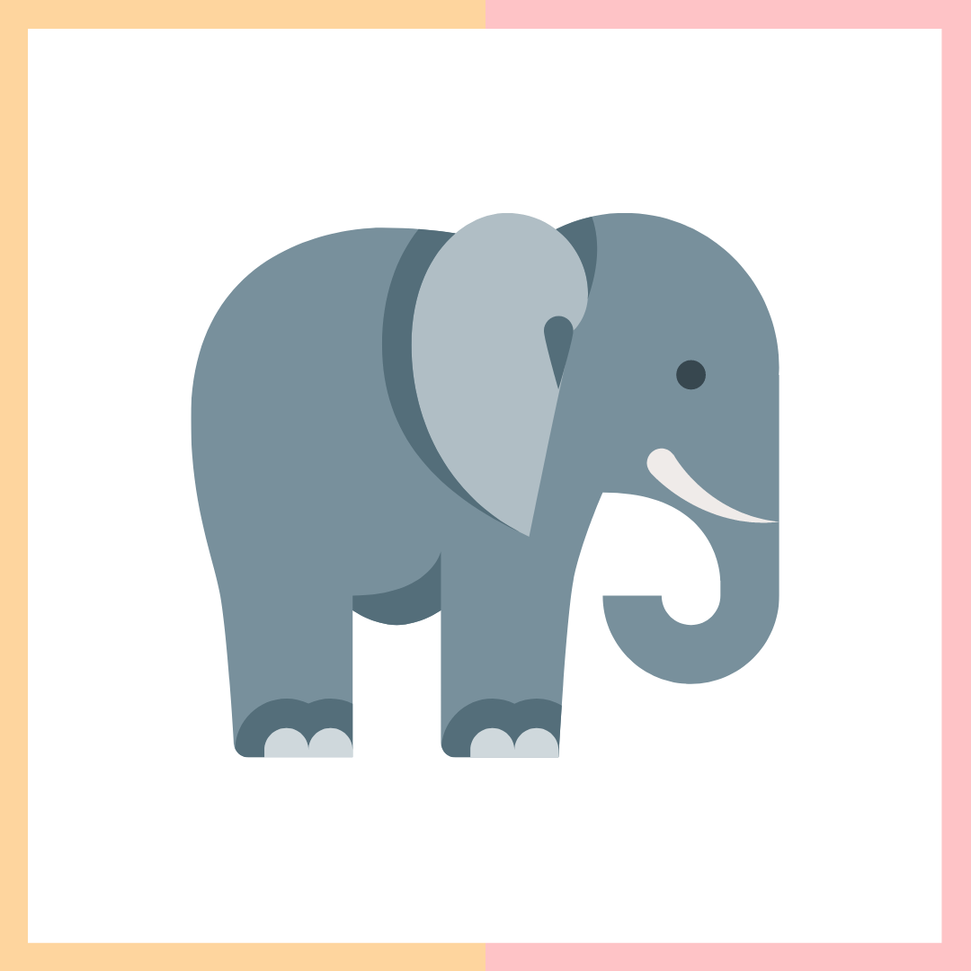 B: elephant