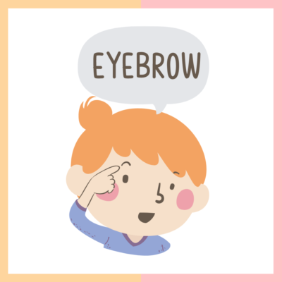 eyebrow