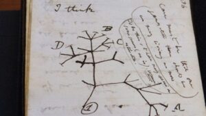 投稿についてもっと詳しく Business 161(Sat) – ‘Stolen’ Charles Darwin notebooks left on library floor in pink gift bag
