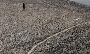投稿についてもっと詳しく Business 162(Thur) – ‘We are living in hell’: Pakistan and India suffer extreme spring heatwaves
