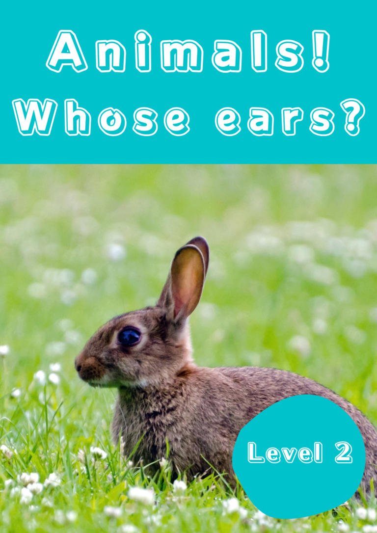 Read more about the article Reading – Animals! Whose ears?