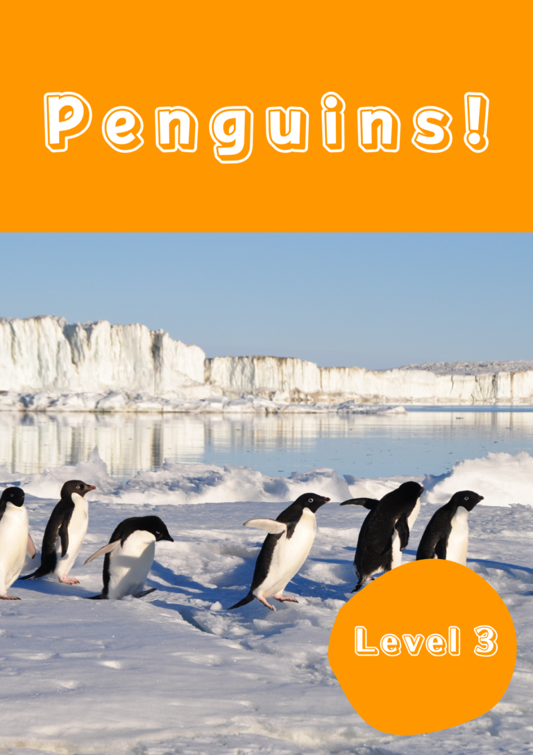 Read more about the article Reading – Penguins!