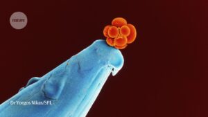 投稿についてもっと詳しく Nature – Why CRISPR babies are still too risky — embryo studies highlight challenges
