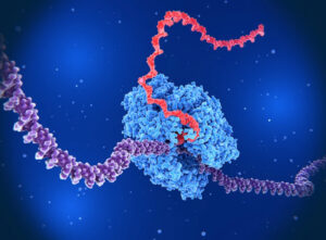 投稿についてもっと詳しく Nature – Ageing studies in five animals suggest how to reverse decline