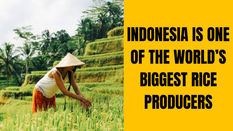 Read more about the article Business(7/5-6) – Indonesia is one of the world’s biggest rice producers, but plans to import extra rice from India in an El Niño emergency